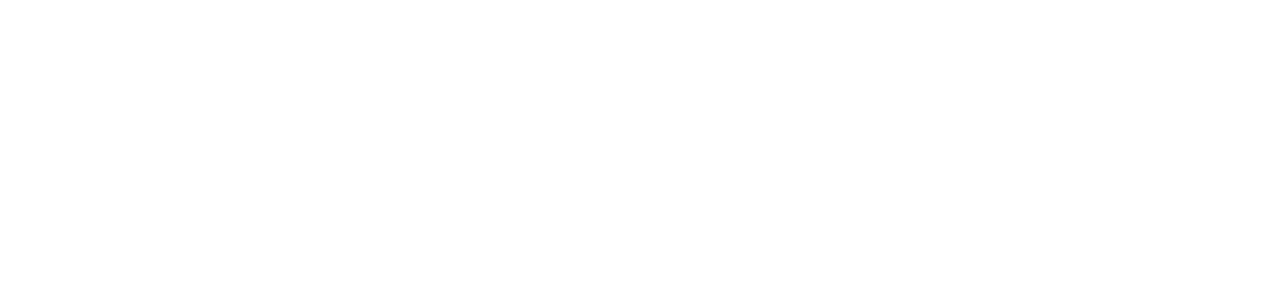 Skylevel logotyp som &auml;r vit.